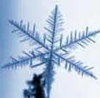 Dendritic snow crystal